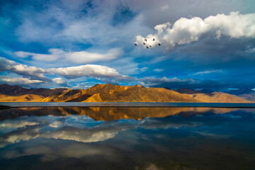 Wall Mural - Pangong Lake, Ladakh