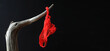 © txakel - tanga rojo colgado de una rama seca lencería de mujer sobre fondo negro 4M0A0615-as21