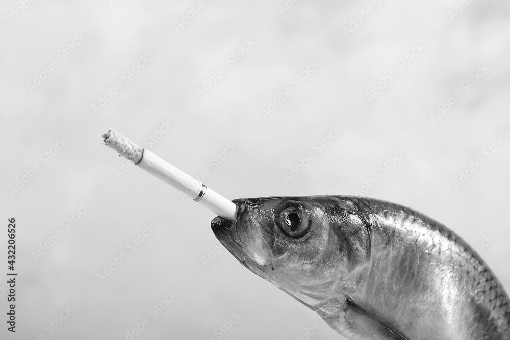 how much have cigarettes gone up in the budget 2025 Budget 2026 is set to confirm yet another unwelcome change for smokers with  the price of cigarettes rising once again