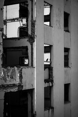 A pigeon on the ruins of an abandoned historic hotel in Rio de Janeiro, Brazil