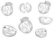 Apple Fruit Line Art Vector Set. Set Of Apple Line Art For Coloring Page.  Black White Apple Isolated On White Background.