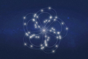 Wall Mural - beautiful flower fiction constellation with constellation lines. dream fantastic wallpaper. elements