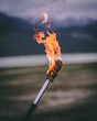fire on a stick