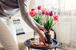 © maryviolet - Woman puts vase with tulips flowers on table. Housewife taking care of coziness at home. Interior and spring decor