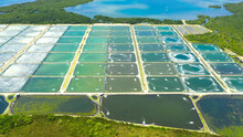 Shrimp Farm With Ponds And Aerator Pump, Top View. Bohol, Philippines. The Growing Aquaculture Business Continuously Threatening The Nearby Wetlands.