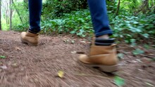 Hiker Walks Along A Trail In The Forest - Low Angle View Showing Just Her Boots Along The Path