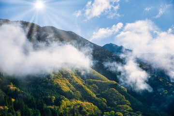 Canvas Print - 雨上がりの山　太陽光