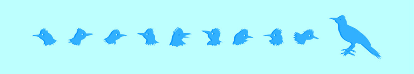 Wall Mural - set of roadrunner cartoon icon design template with various models. vector illustration isolated on blue background