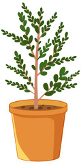 Sticker - Plant in a pot isolated on white background