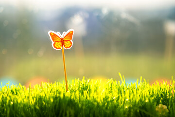 Wall Mural - Close up of small green grass with special cute toy small butterfly. Concept of beautiful plants with decoration.