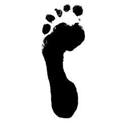 Sticker - Vector concept or conceptual black paint human foot or footprint isolated on white background. A metaphor for education, art, nature, health, environment, footprint and climate change