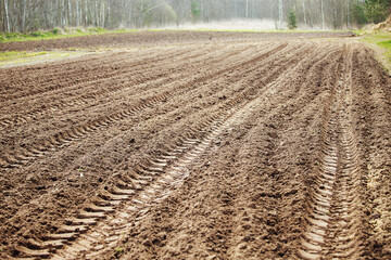 Wall Mural - an agricultural field plowed by furrows. preparation of the soil for sowing with plant seeds. texture of beds and soil