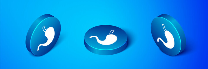 Sticker - Isometric Human stomach icon isolated on blue background. Blue circle button. Vector