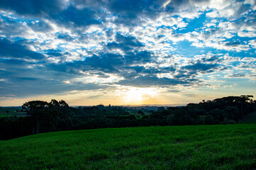 sunset in the field