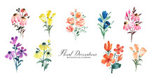 Isolated Watercolor Flowers Decoration Set