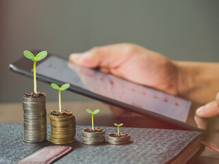 plant growing from coins