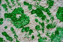 Closeup Shot Of Green Handprints On A Concrete Wall
