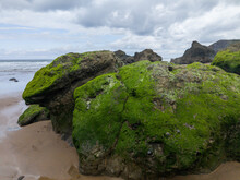Closeup Shot Of Big Stones Covered With Moss On The Beach