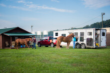 Two Brown Horses Stand Tied To Horse Trailer Waiting To Go On A Trail Rider Equestrian Green Grass Pasture Farm Country Riding