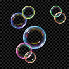 Poster - set of several translucent colored soap bubbles on transparent background. transparency only in vect