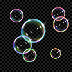 Poster - set of several translucent colored soap bubbles on transparent background. transparency only in vect