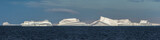 Fototapeta  - Antarctic icebergs