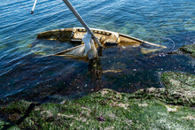 A Shipwrecked Sailboat Washed Up On A Remote Island In The San Juan Islands