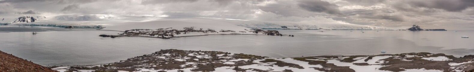 Wall Mural - Penguin island panorama