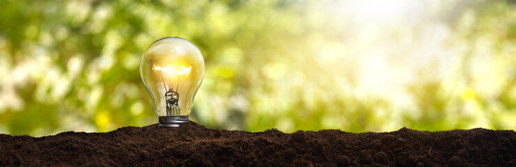 Wall Mural - lit light bulb planted in the earth - concept of caring for the environment and sustainable energy