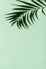 Sticker - Palm Leaf Shadow