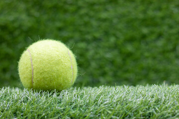 Wall Mural - Tennis ball is on green grass