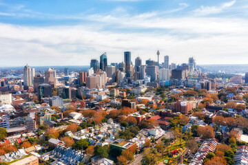 Canvas Print - D Sydney Surry Hills to CBD