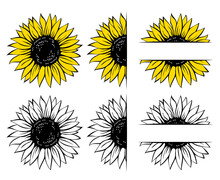 Wild Sunflower Set, Flower Frame, Vector Illustration Isolated On White Background