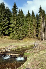 Canvas Print - Steinachgrund in Lauscha