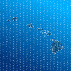 Poster - network map of hawaii. island digital connections map. technology, internet, network, telecommunicat