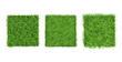 Green grass border on white background, top view. Background square texture of ground surface with green grass.