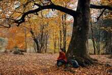 Happy Traveler In Park Near Big Tree Landscape Nature Yellow Leaves Model Emotions