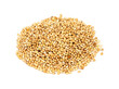 pile of yellow proso millet seeds closeup on white
