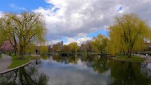 Boston Public Garden With Lagoon And Willow Trees In Spring In City Of Boston, Massachusetts MA, USA. 