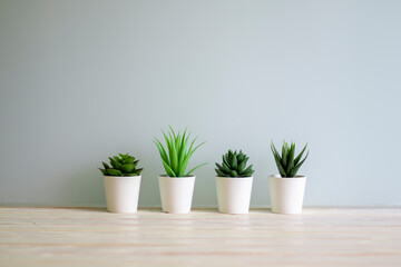 Wall Mural - Wooden desk table top with tree pot on white wall, with copy space