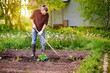 A man gardening with hoe in the vegetable garden. Spring work in the garden, transplanting seedlings into the beds. Healthy and eco-friendly family food.
