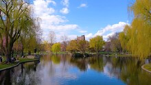 Time Lapse Of Boston Public Garden With Lagoon And Willow Trees In Spring In City Of Boston, Massachusetts MA, USA. 