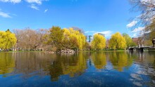 Time Lapse Of Boston Public Garden With Lagoon And Willow Trees In Spring In City Of Boston, Massachusetts MA, USA. 
