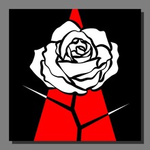 Stylized White Rose On An Abstract Red Black Background. Vector Illustration.
