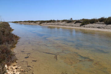 Sticker - Beauduc Camargue