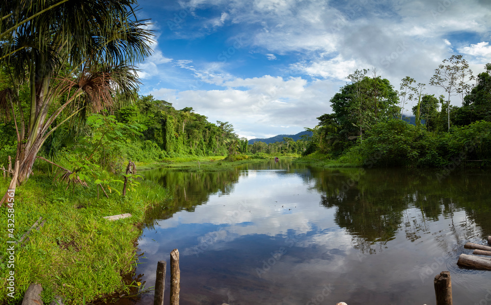 Amazon rainforest, Peru, panoramic landscape of the tropical jungle, and biosphere reserve located in river Madre de Dios, Manu National Park, full of diverse ecosystems such as lowland rainforests. - obrazy, fototapety, plakaty 