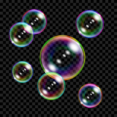 Poster - set of several translucent colored soap bubbles on transparent background. transparency only in vect