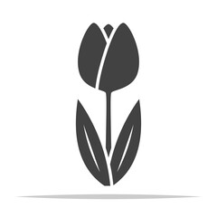 Tulip flower icon vector isolated