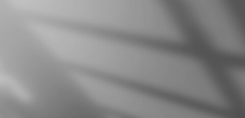 Poster - Abstract Blurred background, white-gray background with reflective walls For the design and layout of the book as wallpaper, computer screen background	
