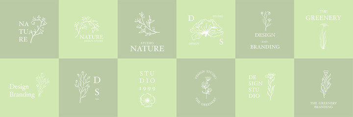 Wall Mural - set of elegant and luxury signs for beauty, natural and organic products. vector illustrations for g
